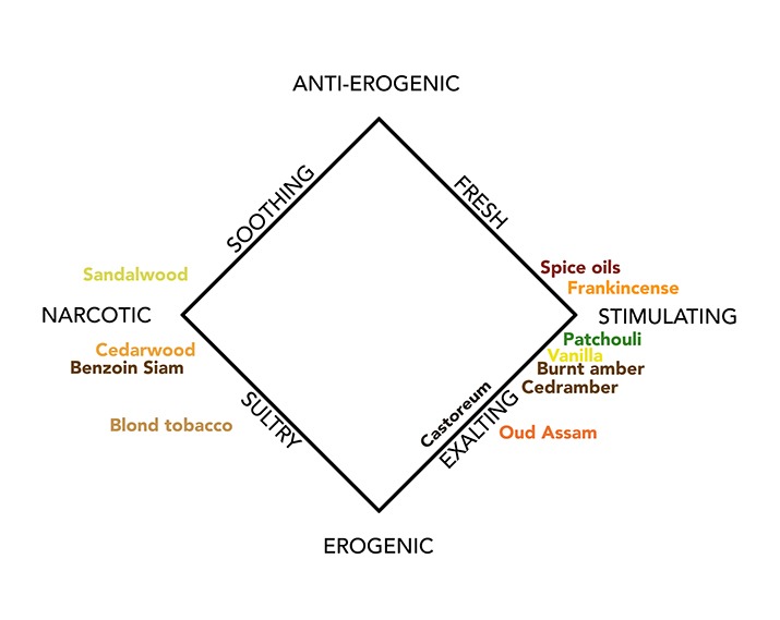 Amber and the Odor Effects Diagram